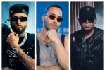 Cancelan el Live Land Music Festival con Wisin, Nicky Jam y Prince Royce