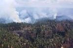 Evacúan parte del Gran Cañón por propagación de incendio forestal
