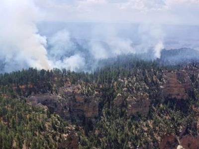 Evacúan parte del Gran Cañón por incendio forestal
