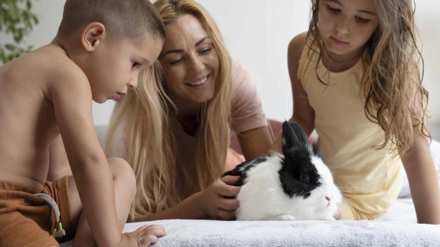 Amor y empatía hacia los animales: una lección que empieza en la infancia Amor y empatía hacia los animales: una lección que empieza en la infancia