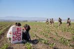 El trabajador agrícola herido en redada migratoria en California sigue crítico, dice hospital