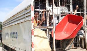 Amnistía Internacional vuelve a pedir al Gobierno poner fin a políticas migratorias racistas