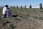 Muere trabajador agrícola al caer de techo en redada a granja de cannabis en California