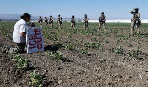 Muere trabajador agrícola al caer de techo en redada a granja de cannabis en California