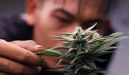 Aumentan las hospitalizaciones por v&oacute;mitos entre consumidores frecuentes de marihuana en EE. UU.