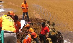 Sargazo y polvo del Sahara dificultan búsqueda de desaparecidos en naufragio en Juanillo