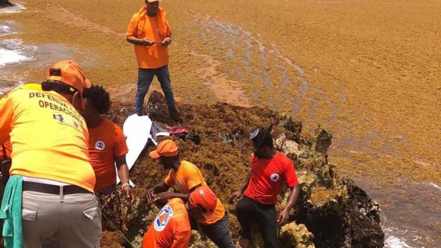 Sargazo y polvo del Sahara dificultan búsqueda de desaparecidos en naufragio en Juanillo