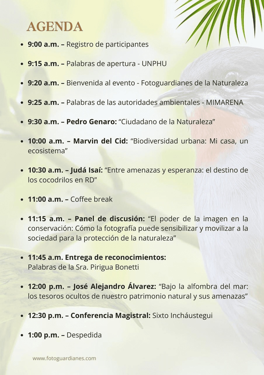 Infografía