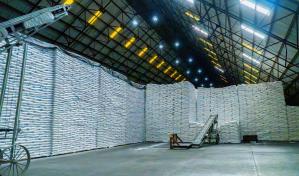 El Central Romana culmina con 306,904 toneladas de azúcar la zafra 2024-2025