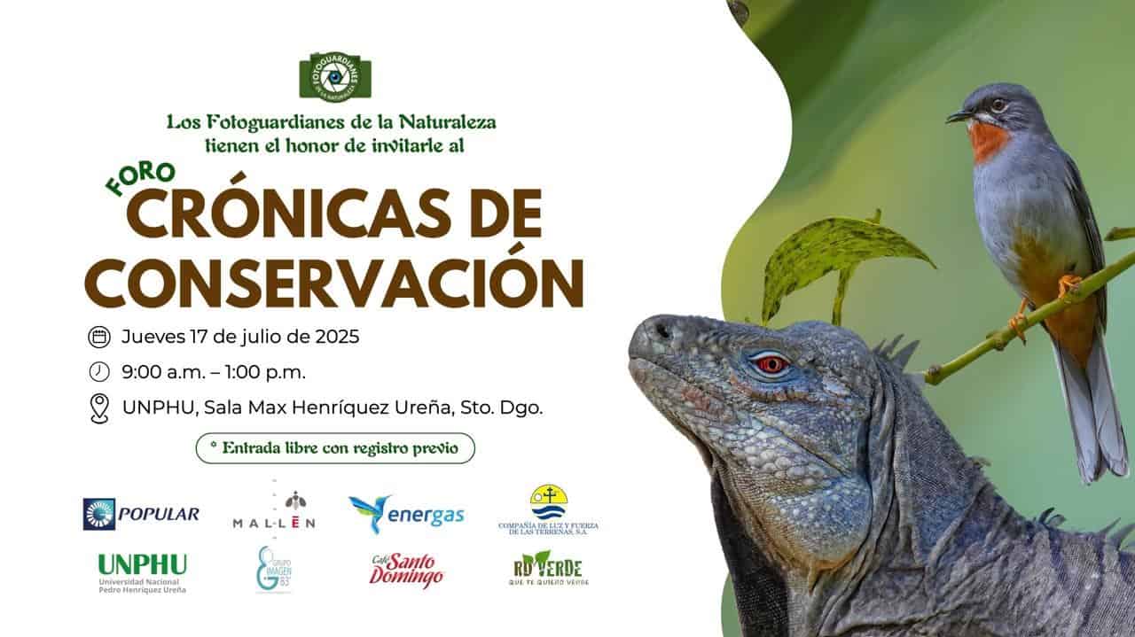 Infografía
