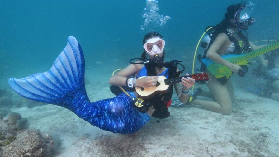 Festival de música subacuática promueve la protección de los arrecifes en Florida Festival de música subacuática promueve la protección de los arrecifes en Florida