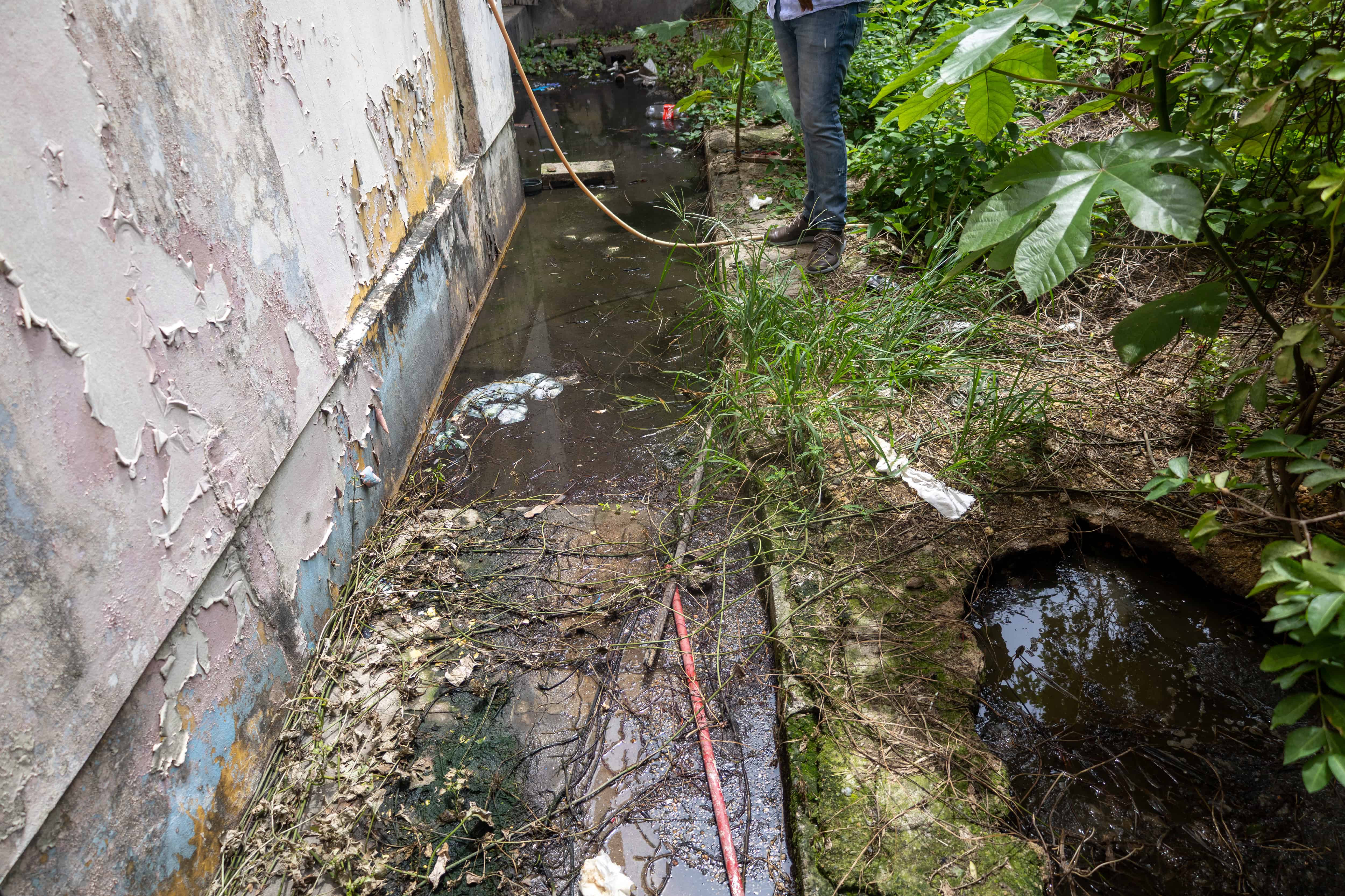 Las aguas con materia fecal se acumulan en los patios.