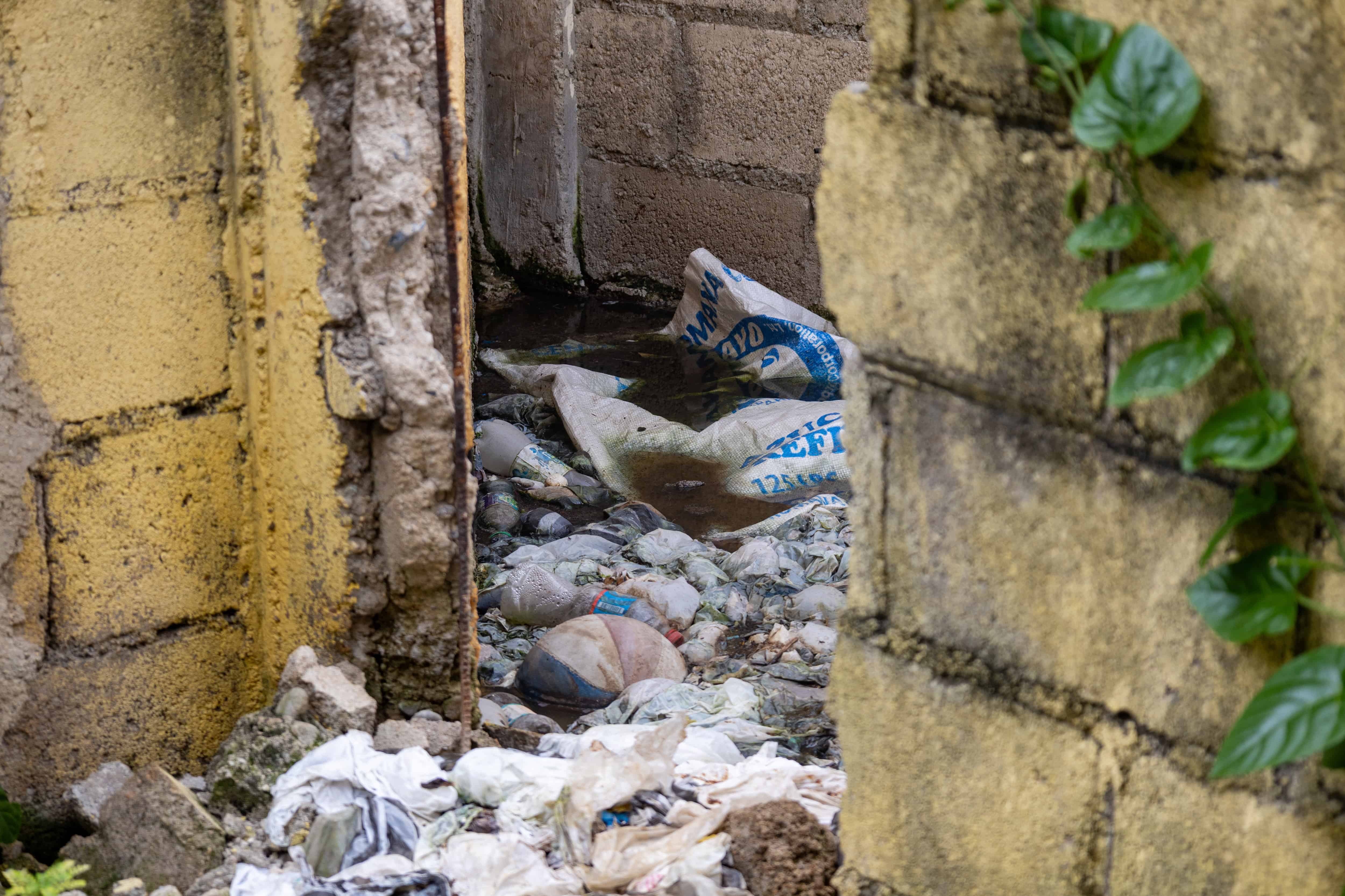 Basura mezclada con materia fecal 
