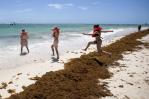 La lucha sin tregua de República Dominicana para limpiar de sargazo sus famosas playas