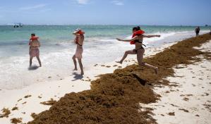La lucha sin tregua de República Dominicana para limpiar de sargazo sus famosas playas