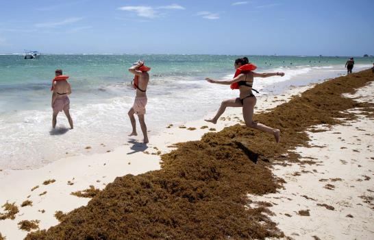La lucha sin tregua de República Dominicana para limpiar de sargazo sus famosas playas