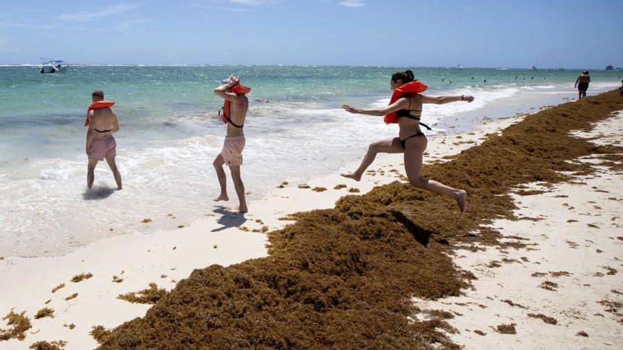 La lucha sin tregua de República Dominicana para limpiar de sargazo sus famosas playas La lucha sin tregua de República Dominicana para limpiar de sargazo sus famosas playas