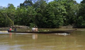 Los derechos de la naturaleza, un reconocimiento jurídico que ha llegado para quedarse Los derechos de la naturaleza, un reconocimiento jurídico que ha llegado para quedarse