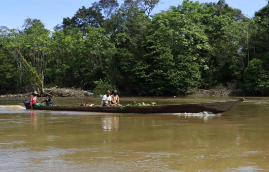 Los derechos de la naturaleza, un reconocimiento jurídico que ha llegado para quedarse