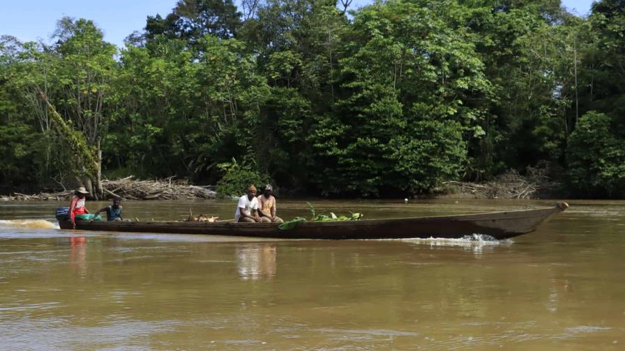 Los derechos de la naturaleza, un reconocimiento jurídico que ha llegado para quedarse Los derechos de la naturaleza, un reconocimiento jurídico que ha llegado para quedarse