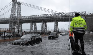 Nueva York aboga por más árboles y mejor alcantarillado para combatir inundaciones Nueva York aboga por más árboles y mejor alcantarillado para combatir inundaciones