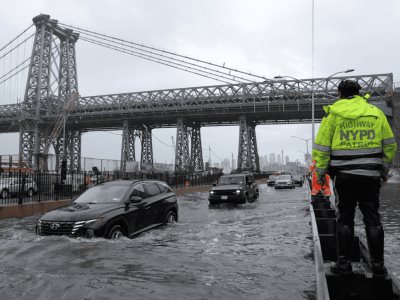 Abogan por más árboles para combatir inundaciones en Nueva York