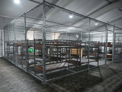 Demandas de inmigrantes por acceso legal en Alligator Alcatraz
