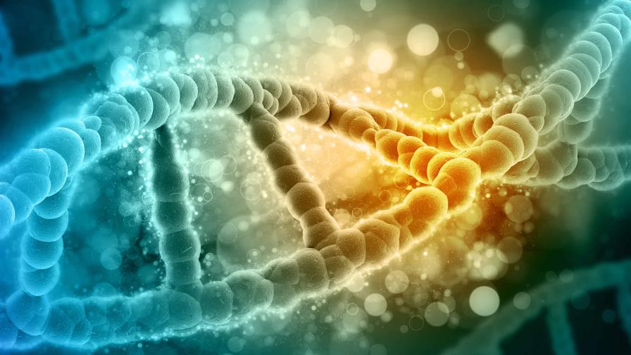 Identifican nuevas dianas genéticas implicadas en el dolor crónico de la artrosis Identifican nuevas dianas genéticas implicadas en el dolor crónico de la artrosis
