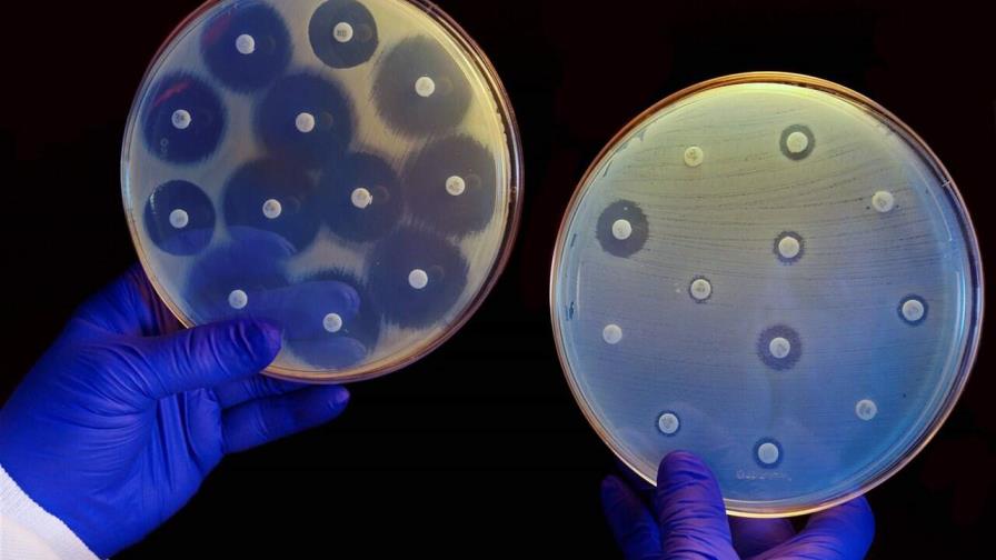 Confirman la extensión global de un gen que crea bacterias resistentes a los antibióticos Confirman la extensión global de un gen que crea bacterias resistentes a los antibióticos