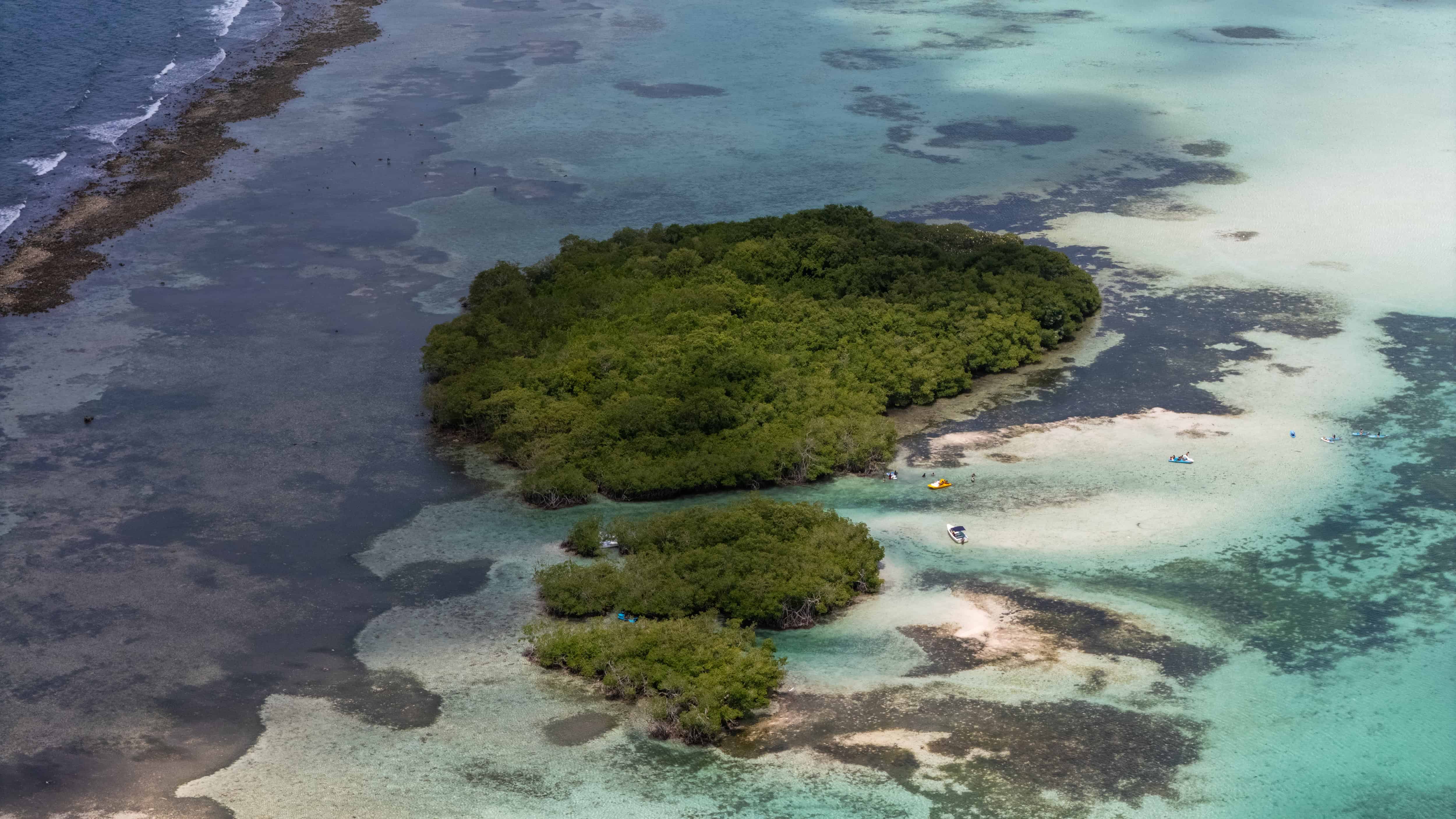 La famosa Matica de Boca Chica.