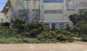 Remodelación deportiva del Centro Olímpico se lleva cientos de árboles