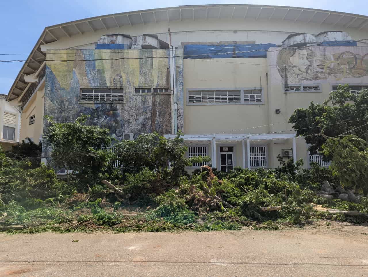 https://resources.diariolibre.com/images/2025/07/18/arboles-talados-frente-al-palacio-de-voleibol-centro-olimpico17725-6b1e336a.jpeg