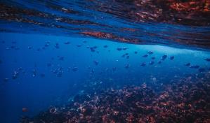 Suspenden reunión internacional sobre minería de aguas profundas