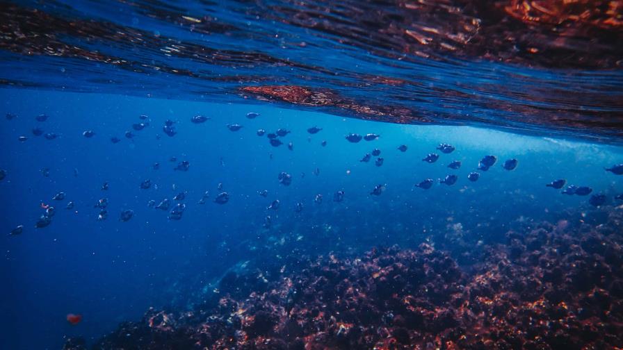 Suspenden reunión internacional sobre minería de aguas profundas Suspenden reunión internacional sobre minería de aguas profundas