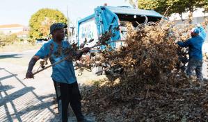Alcaldía del Distrito Nacional interviene El Milloncito con gran operativo integral