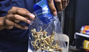 EE. UU. advierte que llevar cannabis en el equipaje a ciertos pa&iacute;ses puede acarrear hasta 10 a&ntilde;os de prisi&oacute;n
