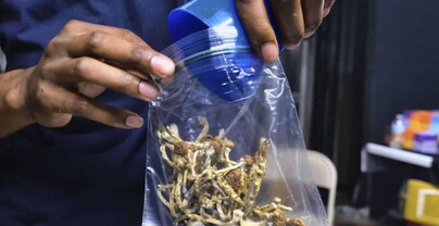 Aumentan casos de n&aacute;useas y v&oacute;mitos vinculados al consumo frecuente de marihuana en EE. UU.