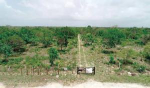 Tribunal Constitucional cierra las puertas al Aeropuerto Internacional de Bávaro