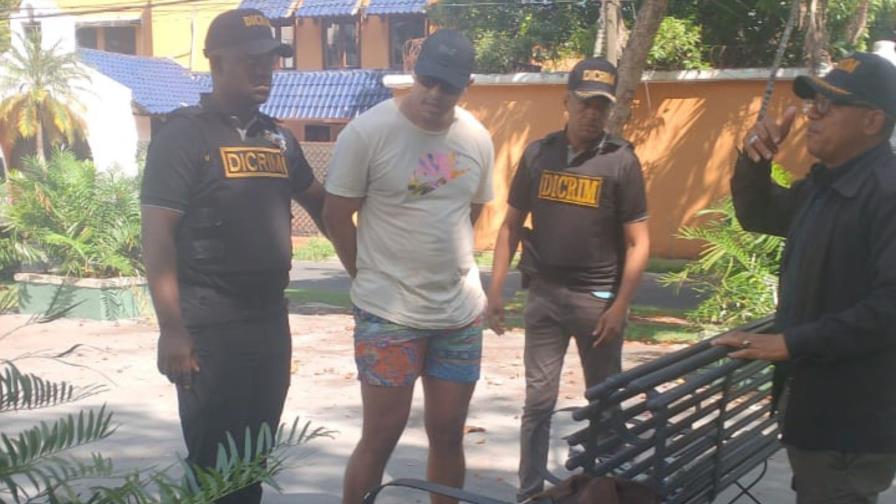 Solicitan prisión preventiva contra hombre que lanzó un perro desde una torre en la capital Solicitan prisión preventiva contra hombre que lanzó un perro desde una torre en la capital