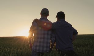 En el nombre del padre: la figura del progenitor en cuatro novelas contemporáneas