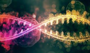 Un equipo internacional consigue la visualización más completa del genoma humano