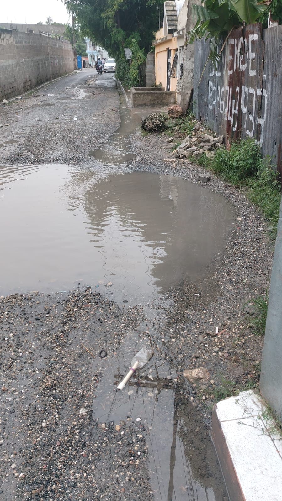 Calle intransitable del sector Las Malvinas en Villa Mella.
