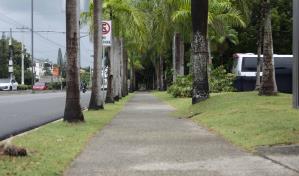 El Gobierno  explica  ampliación de la avenida República de Colombia y  no se tocará el Botánico