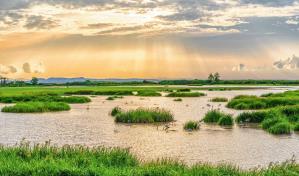 La COP15 destaca el papel de los humedales en la sostenibilidad del planeta