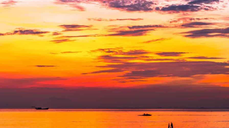 Las olas de calor marinas ya afectaron al 96% de la superficie oceánica en 2023