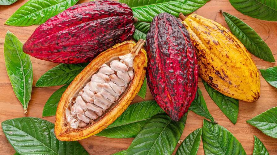 Santiago se viste de cacao con la quinta edición del Festival de Chocolate Dominicano