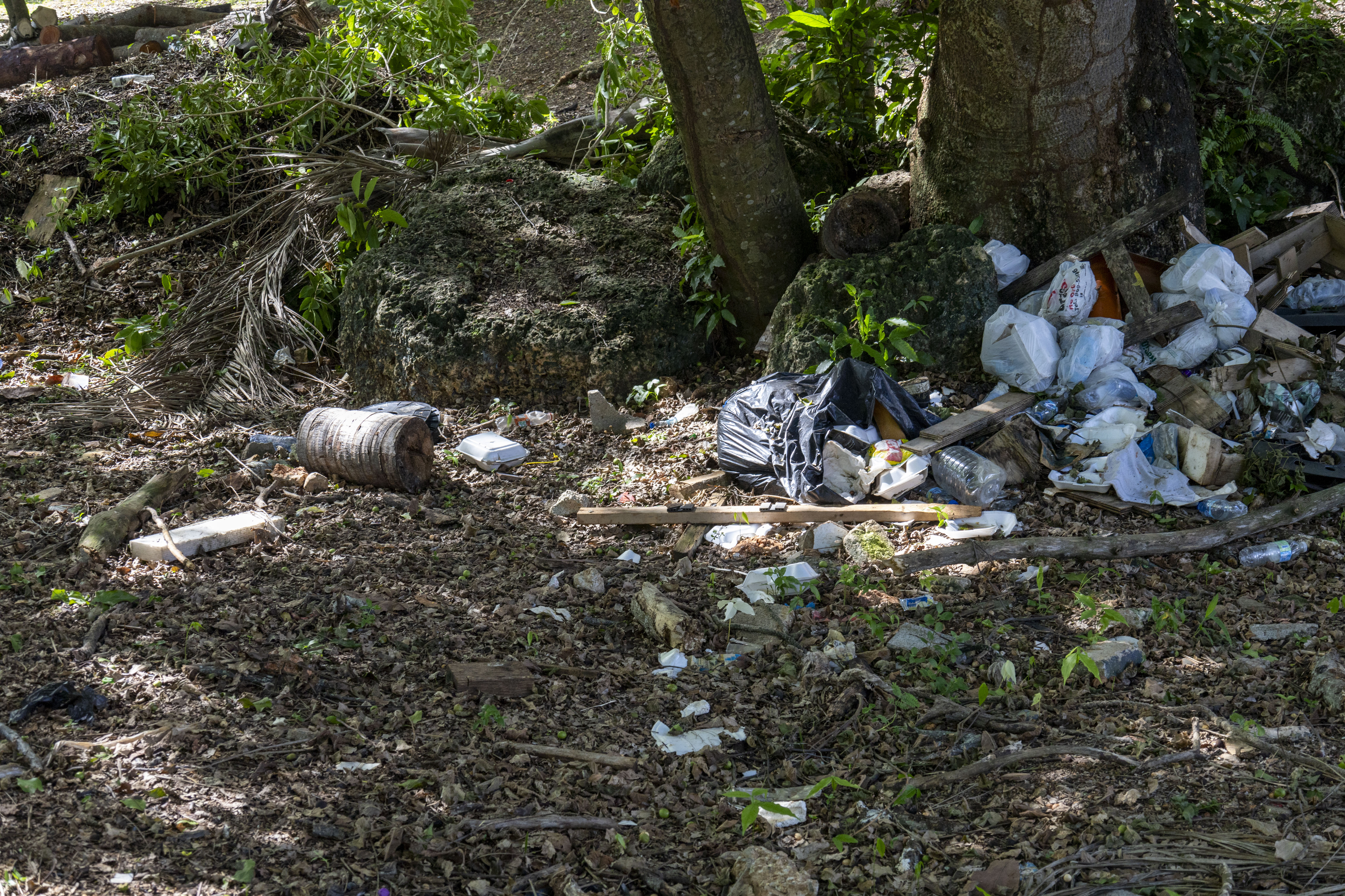 [object HTMLTextAreaElement]