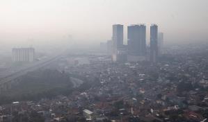 Un metaanálisis asocia la exposición prolongada a la contaminación y el riesgo de demencia Un metaanálisis asocia la exposición prolongada a la contaminación y el riesgo de demencia