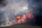 Albania y Macedonia del Norte luchan por contener varios incendios activos