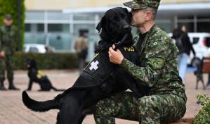 Perros terapeutas ayudan a soldados heridos en un hospital de Colombia